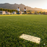 Césped artificial de calidad europea